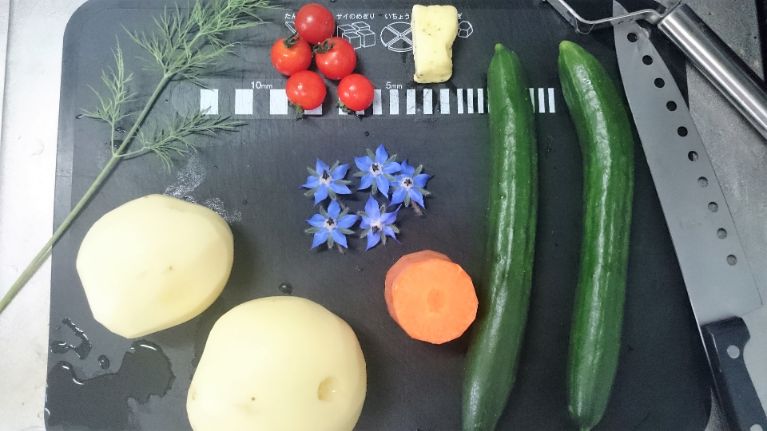 f:id:kinrenka_kinsenka:20190415051649j:plain f:id:kinrenka_kinsenka:20190415051649j:plain
