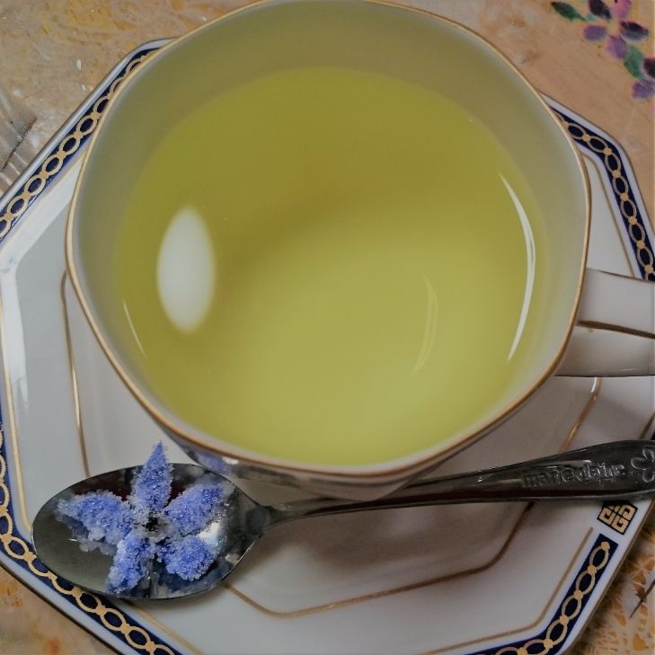 ベランダで育てる ミクロメリア フルティコーサの育て方 ティーも飲んでみました Let S Herbs Life ベランダで育てる ミクロメリア フルティコーサの育て方 ティーも飲んでみました Let S Herbs Life
