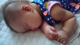 f:id:kinsankinsan:20160908234331j:image f:id:kinsankinsan:20160908234331j:image