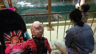 f:id:kinsankinsan:20160926225633j:image f:id:kinsankinsan:20160926225633j:image
