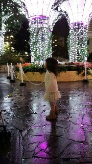 f:id:kinsankinsan:20161114202152j:image f:id:kinsankinsan:20161114202152j:image