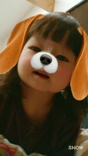 f:id:kinsankinsan:20161120214945j:image f:id:kinsankinsan:20161120214945j:image