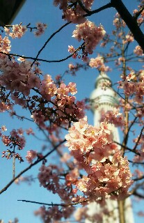 f:id:kinsankinsan:20170318003245j:image f:id:kinsankinsan:20170318003245j:image