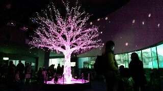 f:id:kinsankinsan:20170330173615j:image f:id:kinsankinsan:20170330173615j:image