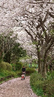 f:id:kinsankinsan:20170412230605j:image f:id:kinsankinsan:20170412230605j:image