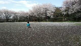f:id:kinsankinsan:20170414191840j:image f:id:kinsankinsan:20170414191840j:image