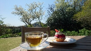 f:id:kinsankinsan:20170418133722j:image f:id:kinsankinsan:20170418133722j:image