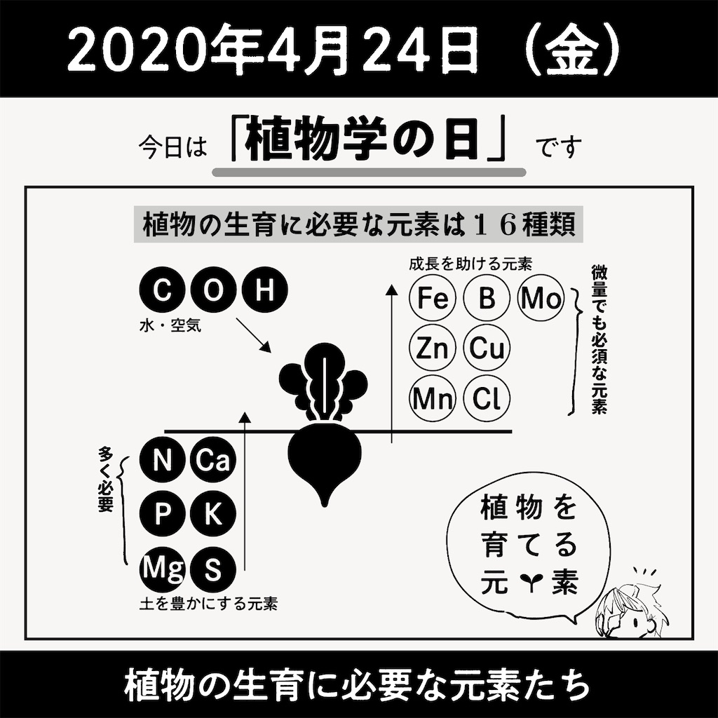 f:id:kinsei_doll:20220408173720j:image