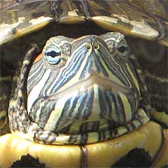 20071022_01