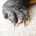 [足]20111011_01