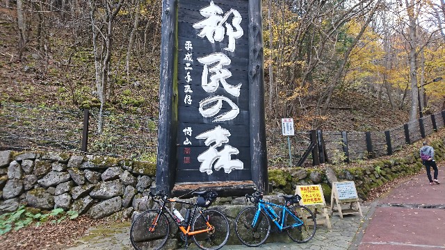 f:id:kintaroadbikediary:20181117221942j:image