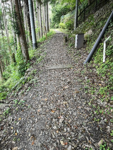 f:id:kintaroadbikediary:20200812115321j:image