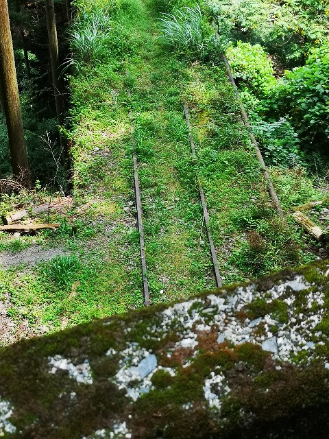 f:id:kintaroadbikediary:20200812115435j:image