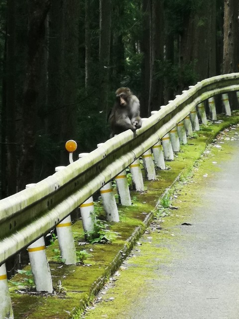 f:id:kintaroadbikediary:20200812115748j:image
