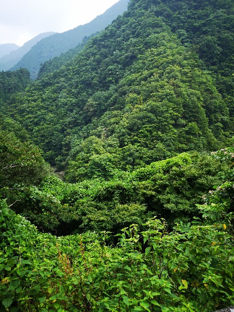 f:id:kintaroadbikediary:20200812120652j:image