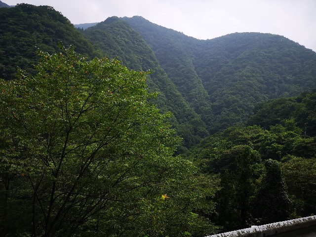 f:id:kintaroadbikediary:20200812120950j:image