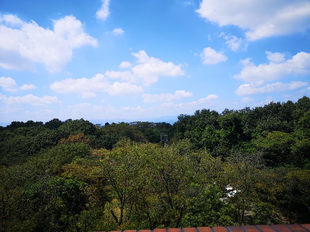 f:id:kintaroadbikediary:20200906180417j:image