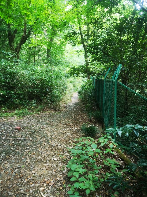 f:id:kintaroadbikediary:20200906180644j:image