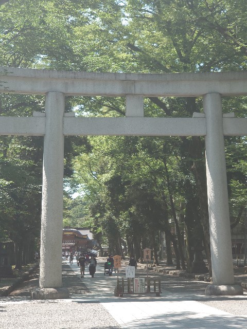 f:id:kintaroadbikediary:20210814114153j:image f:id:kintaroadbikediary:20210814114153j:image