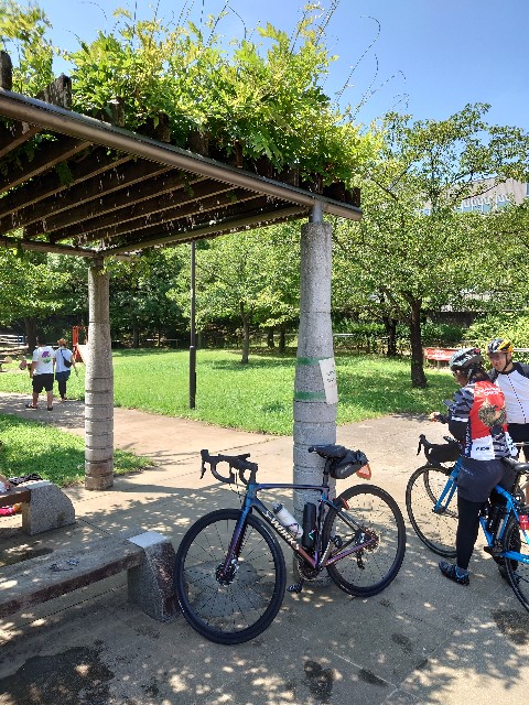 f:id:kintaroadbikediary:20210814114450j:image f:id:kintaroadbikediary:20210814114450j:image
