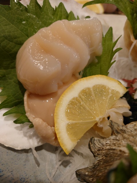 f:id:kintaroadbikediary:20220507234658j:image f:id:kintaroadbikediary:20220507234658j:image