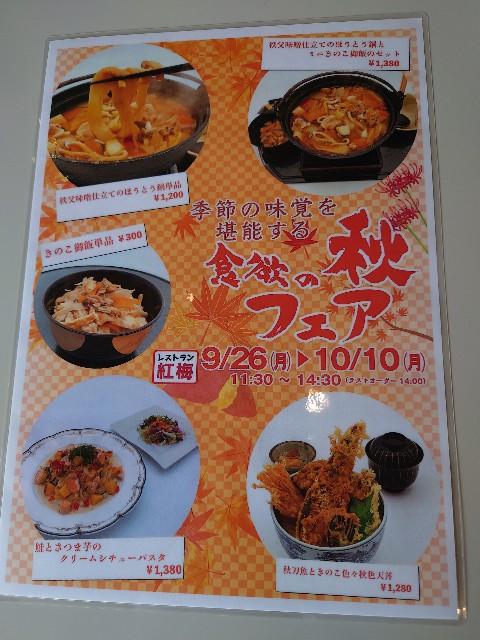f:id:kintaroadbikediary:20221024131754j:image