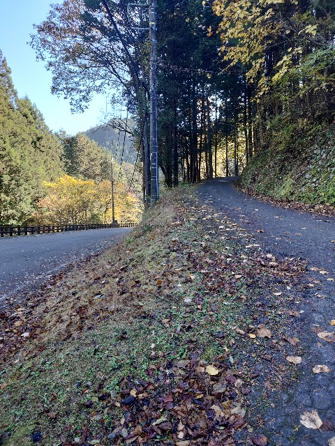 f:id:kintaroadbikediary:20221122191917j:image
