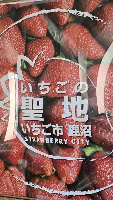 f:id:kintaroadbikediary:20241013232921j:image