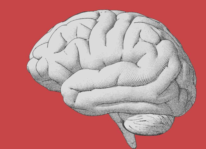 f:id:kintoredieting:20190224164909p:plain