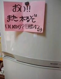 f:id:kintoredieting:20190224165012p:plain