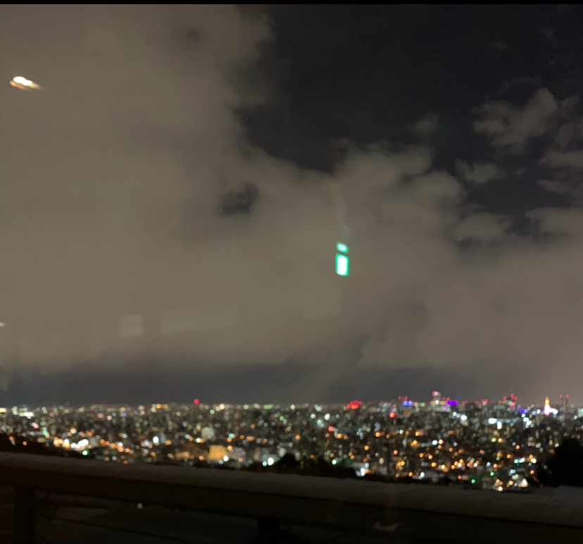 f:id:kintoredieting:20190226225100p:plain