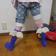 着画あり 運動会で目立つ 後ろ姿まで見つけやすい靴下 続 筋トレおかんのもぐもぐ日記