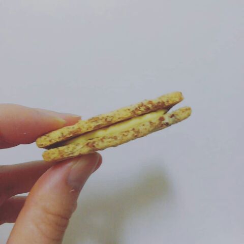 f:id:kintoreokan:20190620085606j:plain f:id:kintoreokan:20190620085606j:plain