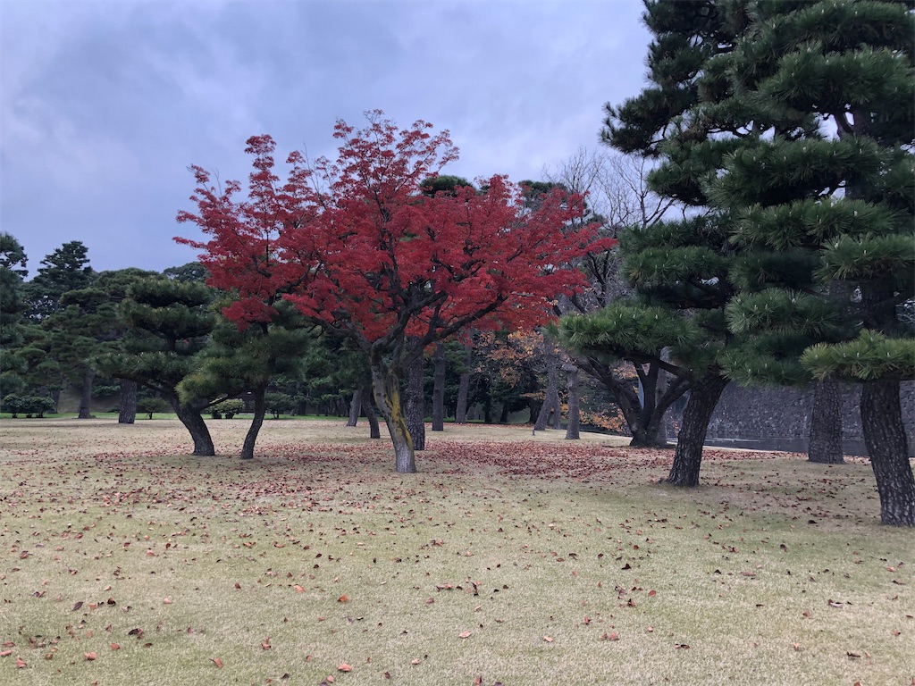 小説の感想 丸の内で就職したら 幽霊物件担当でした 8 きぬかつぎ