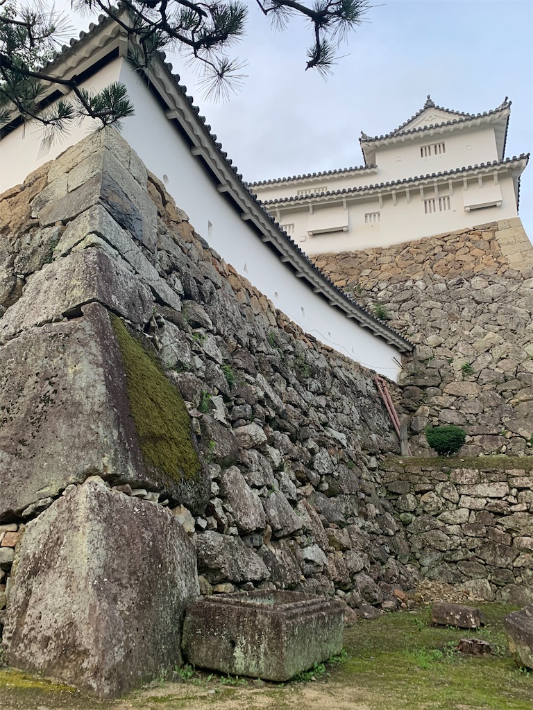 f:id:kinu56gasa59:20200713234517j:image f:id:kinu56gasa59:20200713234517j:image
