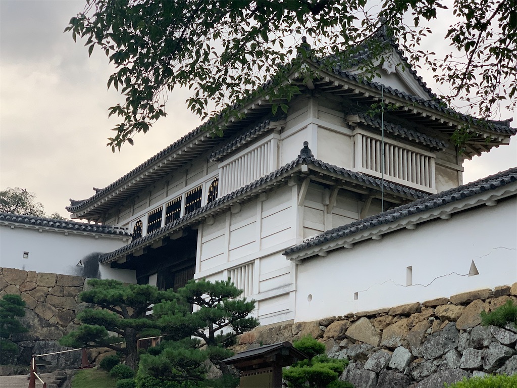 f:id:kinu56gasa59:20200713234523j:image f:id:kinu56gasa59:20200713234523j:image