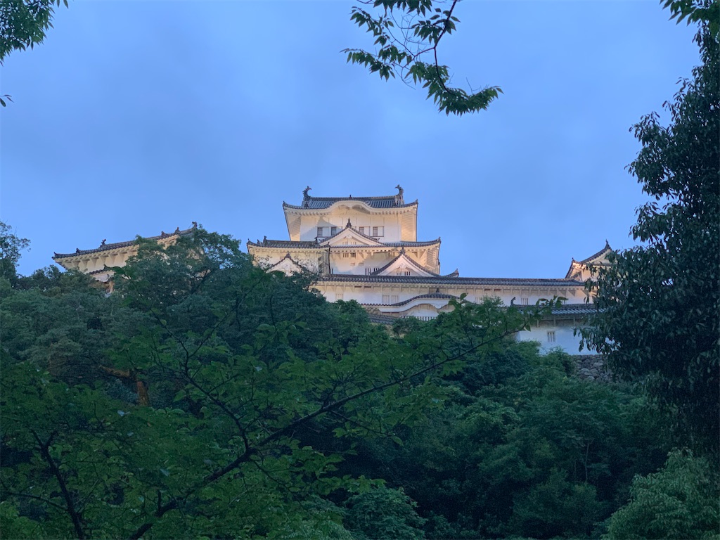 f:id:kinu56gasa59:20200713234756j:image f:id:kinu56gasa59:20200713234756j:image