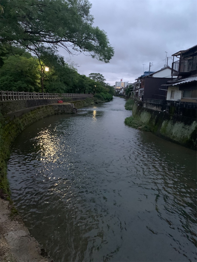 f:id:kinu56gasa59:20200713235112j:image f:id:kinu56gasa59:20200713235112j:image