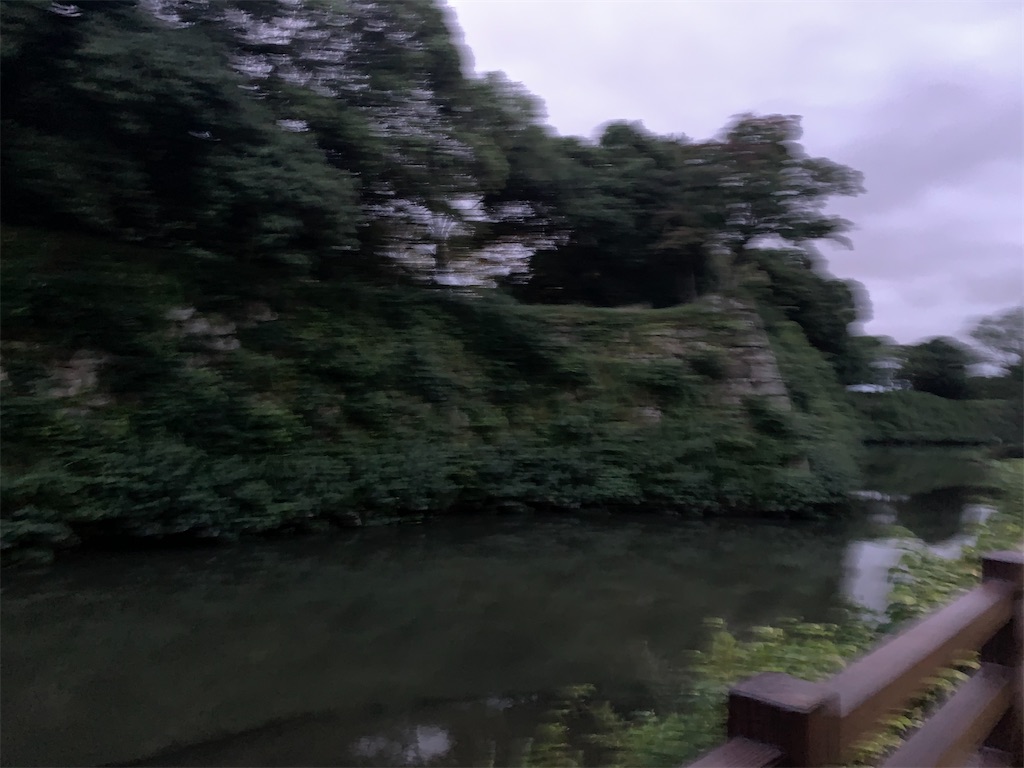 f:id:kinu56gasa59:20200713235116j:image f:id:kinu56gasa59:20200713235116j:image