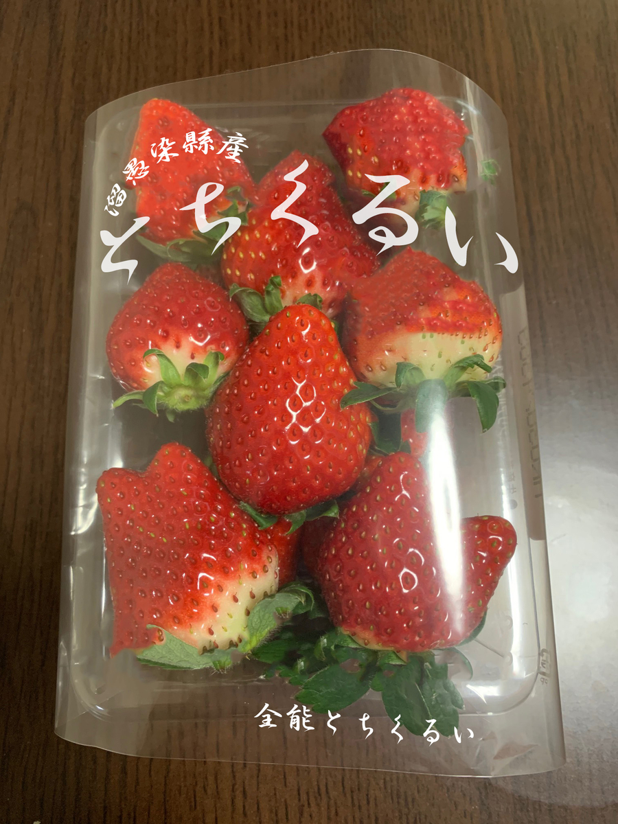 f:id:kinuse:20210117150321j:plain