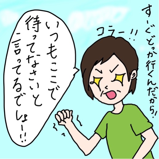 f:id:kinutomo0302:20180527133611j:plain