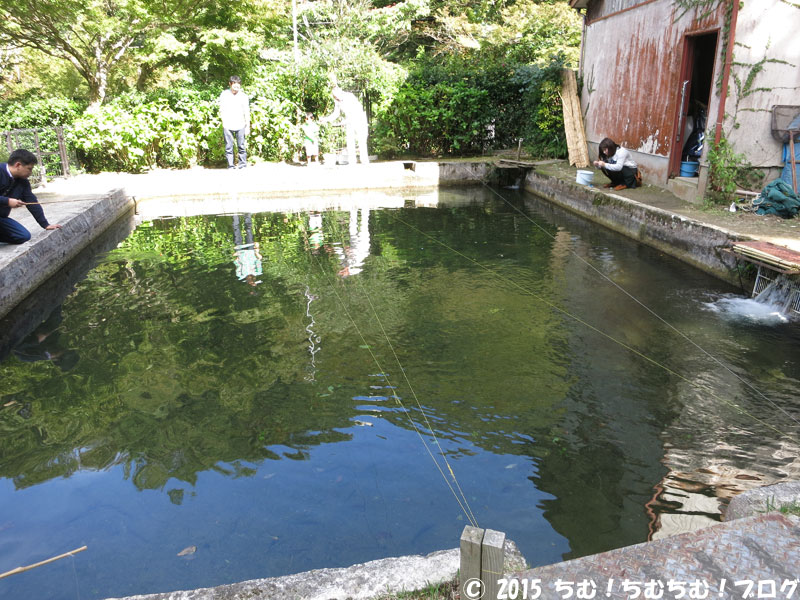 釣り堀池の奥側