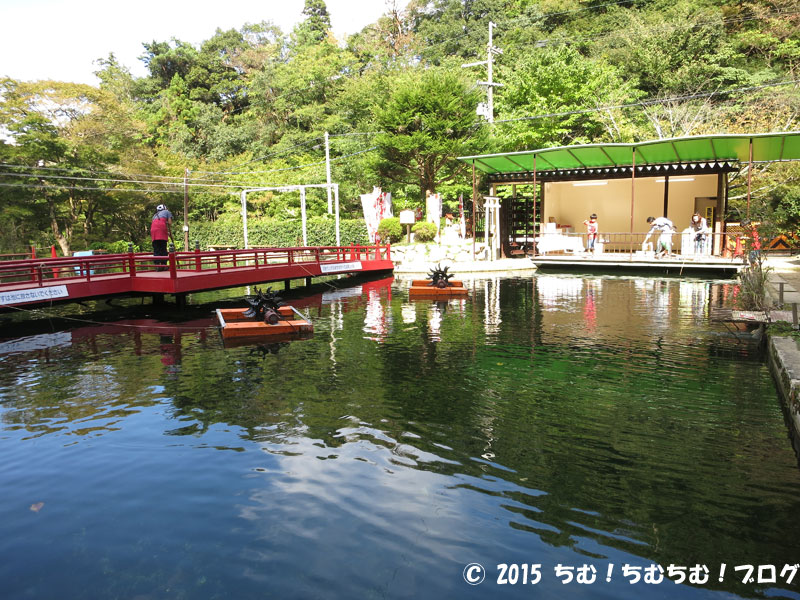 釣り堀池の手前側