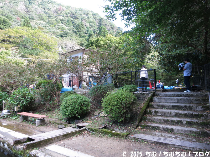 池の全体像