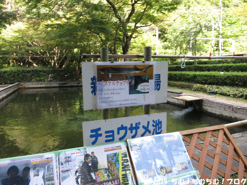 チョウザメの看板