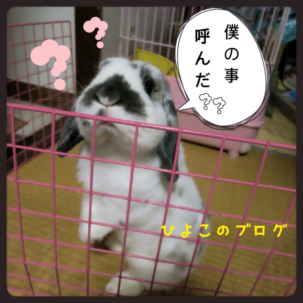 f:id:kinyanpu:20160301190043j:image f:id:kinyanpu:20160301190043j:image