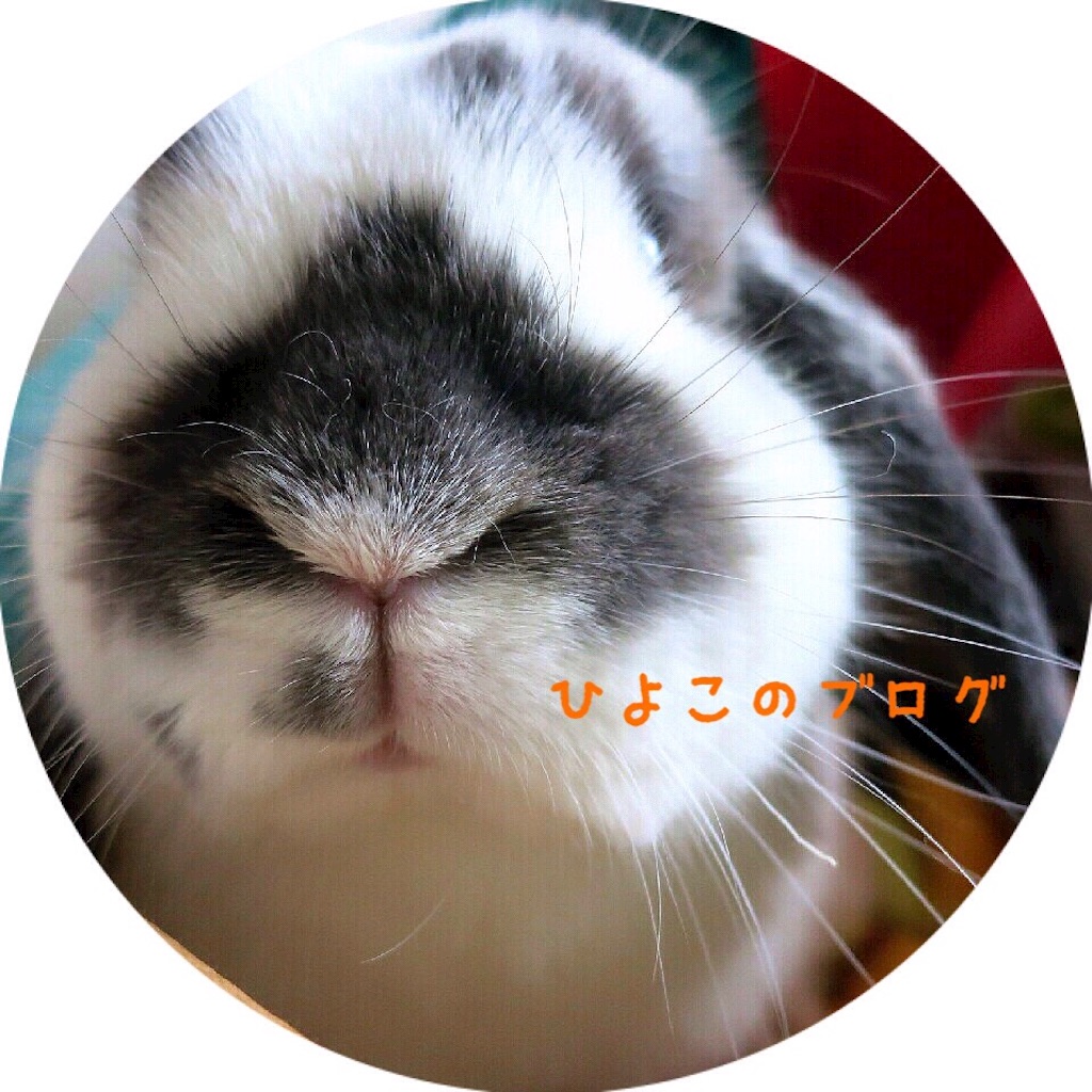 f:id:kinyanpu:20160301190049j:image f:id:kinyanpu:20160301190049j:image