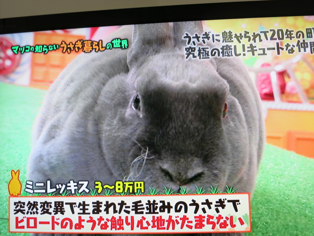 f:id:kinyanpu:20160301225220j:plain f:id:kinyanpu:20160301225220j:plain