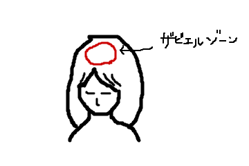 f:id:kinyanpu:20160905000626p:plain f:id:kinyanpu:20160905000626p:plain