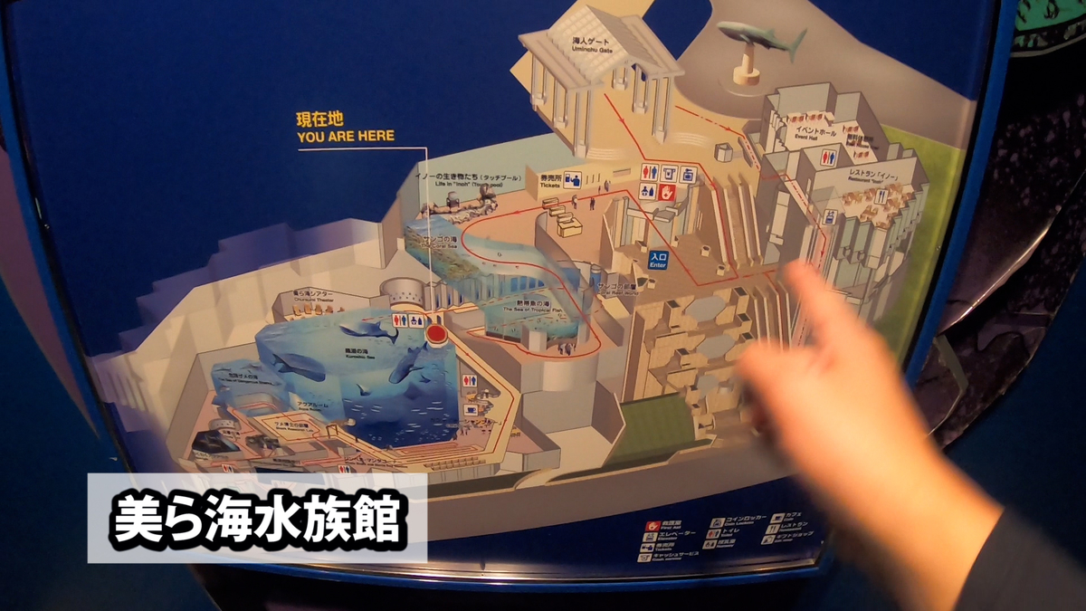 沖縄旅 ６ 海洋博公園 美ら海水族館にバスツアーで行こう 記憶旅kiokutabiのブログ